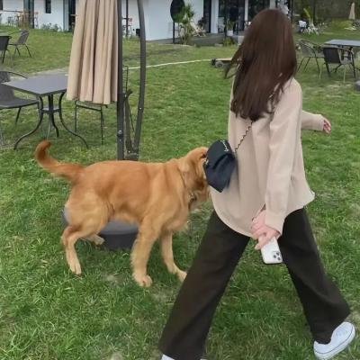 一封明信片